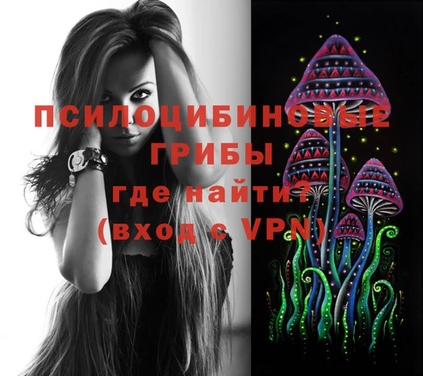 дурь Армянск