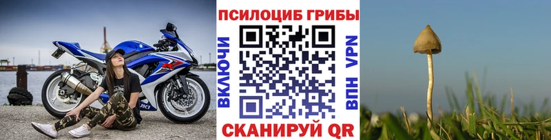 Псилоцибиновые грибы ЛСД  Балей 